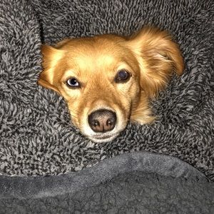 Meet your Posher, Teri